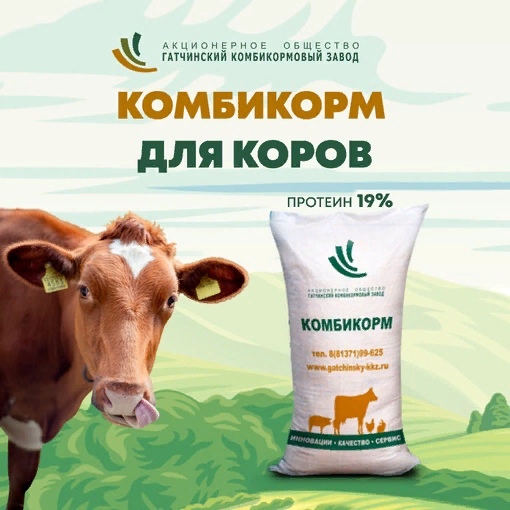     60   , 19% 
