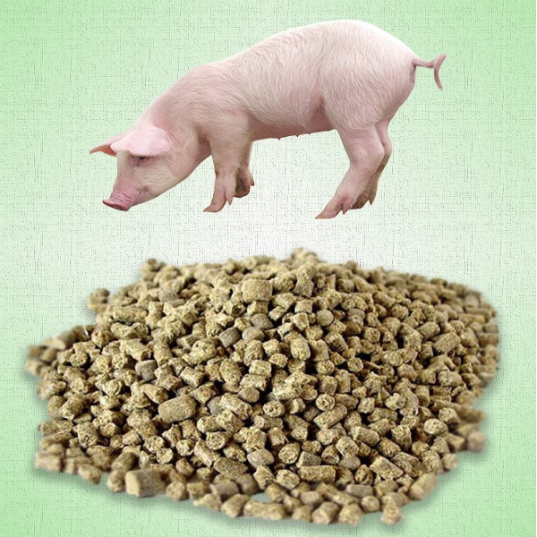 Комбикорм ГАТЧИНА  СКК 58  для откорма свиней до жирных кондиций