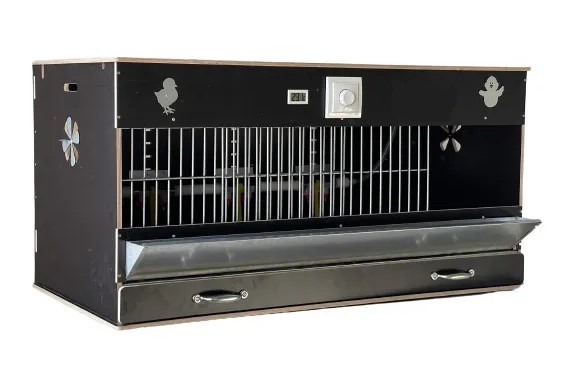   ,,,   , =100,=50,=50