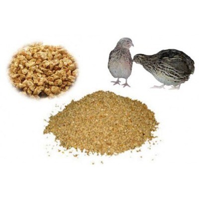 ��������� �����  ��-52  ��� ��������� �� 7 ������ � ������