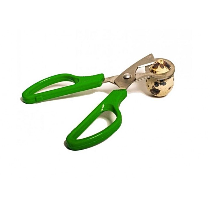      (.NT-scissors)